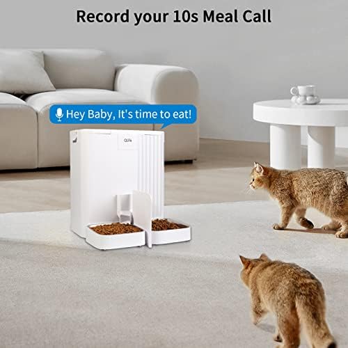 Alimentador de gato automático programável: dispensador de alimentos secos de 6l para pequeno cão grande médio - alimentador de