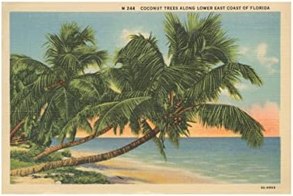 Marca de marca registrada 'Florida Postcard III' Arte de tela por portfólio de maçã selvagem 22x32
