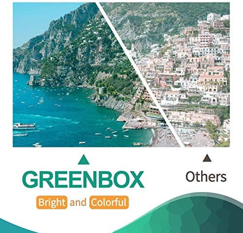 GreenBox T288xl 288xl de alto rendimento Remanufacured Cartuction Substituição para Epson 288 288xl, 2 cartucho de tinta preta