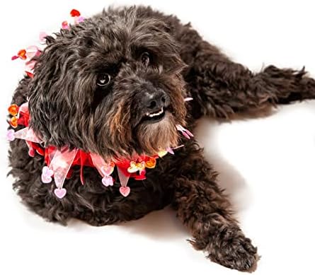 Cole de cachorro decorativo do coração de Midlee Valentine