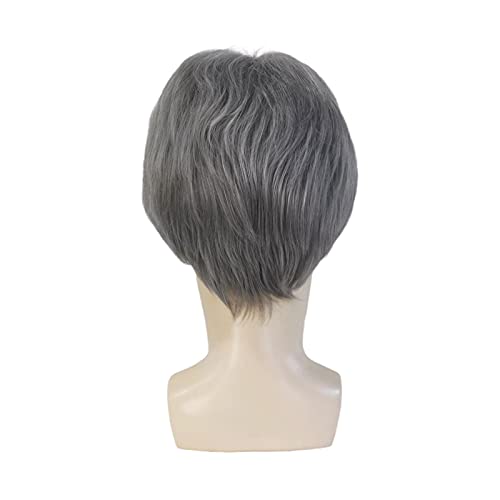 Yyhr Men Wigs cinza peruos machos curtos peruca prateada perucas sintéticas Parte de fibra de fibra resistente ao calor para