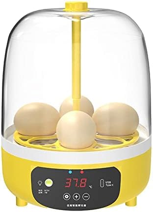 Mini 8 Incubadora de ovos Incubadora de aves de aves de temperatura digital Incubadora de ovo para o ovo de fascinante de pássaro de frango