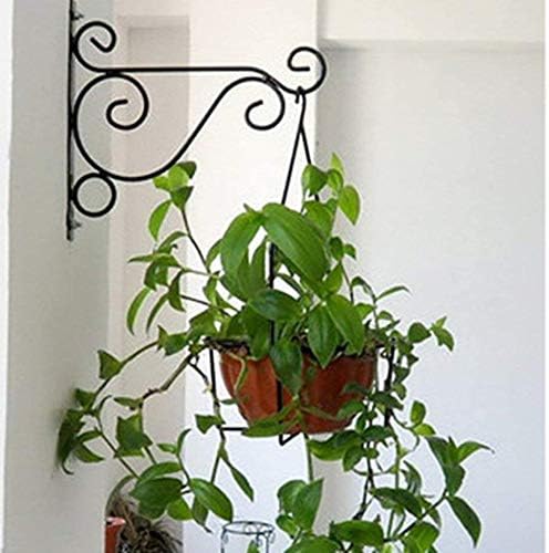 Cheeroyal 2 Pack parede suspensa suportes de planta, suportes pendurados ganchos de planta gancho com parafusos para decoração de jardinagem