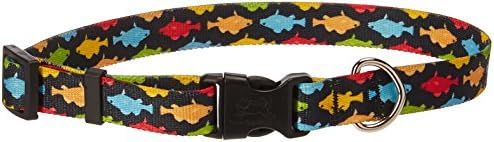 Design de cão amarelo Rainbow Fish Black Dog Collar, Medium-3/4 Fits Wide Fit