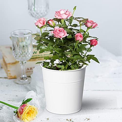 Plantador de balde pendurado em metal de 10 pacote com gancho, 4 polegadas mini cesto de armazenamento branco redondo para vasos de flores plantas vasos de flores internos do jardim doméstico Pátio de jardim