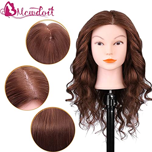 18 '' Mannequin Cabeça com cabelo humano, Cosmetologia Hapernequin Head Head Hairdressing Practice Treinando Cabeças de Cabelo