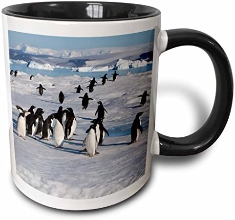 3drose Adelie Penguin Colony em Devil Island, Antártica caneca, 11 oz, preto
