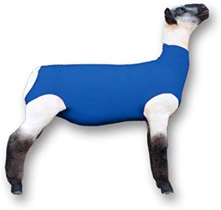 Mostrar Pro Blue Spandex Lamb Tube para Show Sheep & Lamb - Mostrar suprimentos de gado: Capas de ovelhas e cobertores