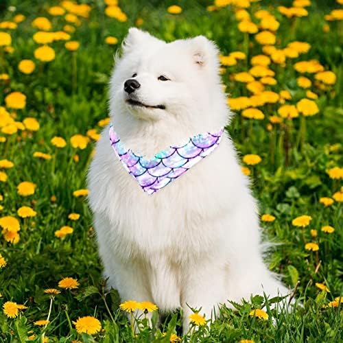Laiyuhua cachorro bandana lenço de cachorro de cachorro lenço de cachorro Soft Triangle Dogs Bibs Lenço Acessórios de decote de estimação personalizados para cães grandes e extras - 2 Pacote de aquarela colorida Escala
