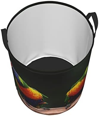 Papagaios de arco -íris impressos cestas de lavanderia colapsível cesto circular roupas de armazenamento de armazenamento necessidades