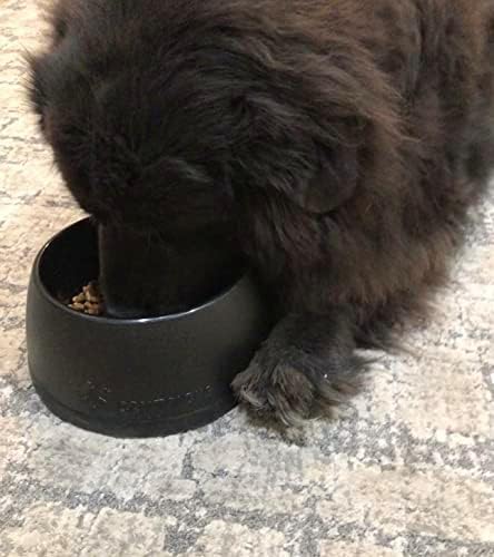 Scentricks Pet Food Bowl