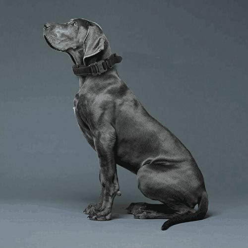 Colar de cão tático colar de treinamento militar ajustável com handle & metal fivela de nylon pesado colarinho para cães para treinamento médio e grande