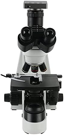 LXXSH 40X - 1000X 1600X 2000X Microscópio biológico do laboratório Microscópio trinocular
