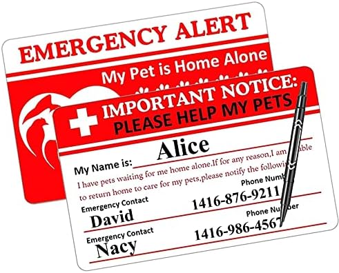 Wootile Dogs & Cats estão em casa ALERTA ALERTA CARTÃO DE EMERGÊNCIA E TAG KEY com Cartão de chamada de emergência 2 PCS PETS