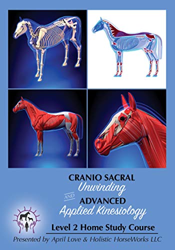 Cavaleiros holísticos Nível 2 Equino corporal inteiro craniossacral Desconhecedor e avançado Applied Cinesiology Horse