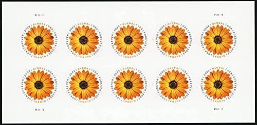 USPS African Daisy 2022 International Mail Global Postage Forever Stamps Scott 5680