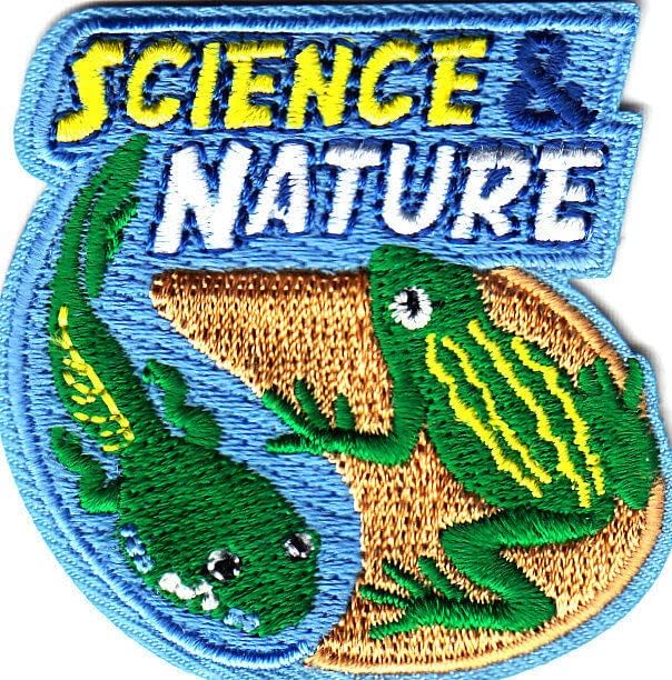 Ciência e Natureza Ferro no patch bordado
