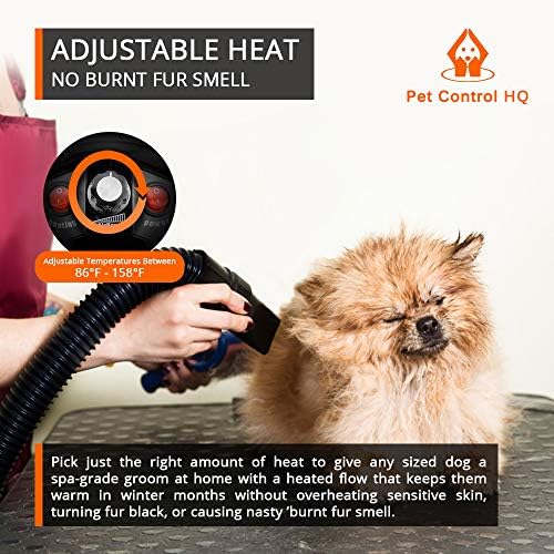 Secador de cabelo de cachorro soprador para a higiene - Profissional de alta velocidade de alta velocidade de 4,5 cv para cães - calor ajustável baixo ruído silencioso fluxo de ar - secador de animais de estimação para limpeza