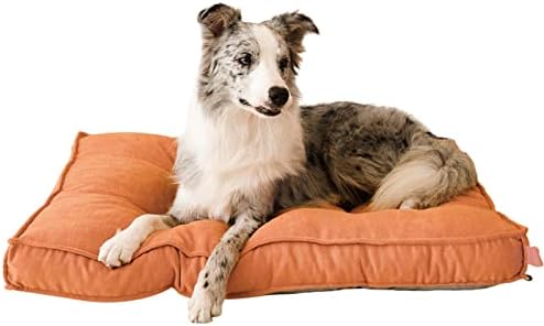 WELLYELO Grande cama de cachorro Camas de caixas de cachorro ao ar livre para cães de cachorro de cachorro de cachorro de cachorro de cachorro de cachorro de cachorro