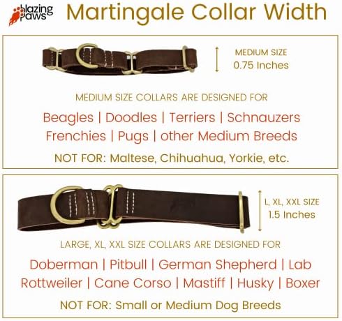BlazingPaws Vibrania Martingale Slip-On Super Soft Andivided Leather Dog Collar para cães de tamanho médio, 0,75 polegadas