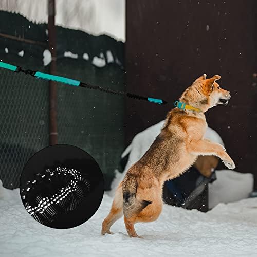 Wolfone 15ft Green Training Dog Leash Conjunto ， Preso à prova d'água de cães de cachorro e linhas refletivas curtas Bungee Tráfego de cães coleira com fivela de cinto de segurança para atividades ao ar livre