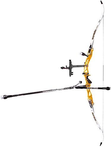Sanlida Archery Takadown Recurve Bow para o mito da competição olímpica x10 ILF Target Recurve Bow Kit Gold Riser Gold Riser