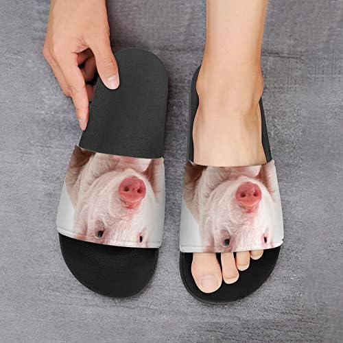 Sandálias de chinelos de chinelos de porco de bebê engraçados