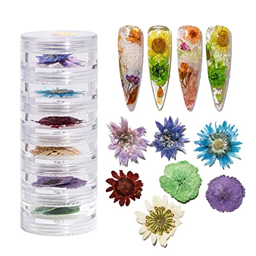 Flores secas de unhas Adesivo de artes de unhas 3D para dicas Manicure Decor Acessórios misturados Folhas estreladas