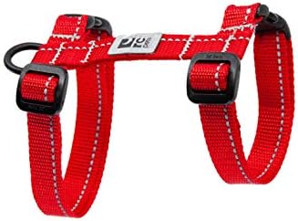 RC PET Products 75405002 Coleta primária Kitty Harness, grande