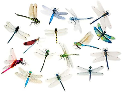 Álbum de fotos autônoma de auto adesivo Kisangel 2 sets requintados adesivos de dragonfly pet scrapbook de adesivo decorativo transparente