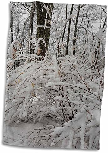 3drose tdswhite - Fotos de natureza sazonal de inverno - manhã de inverno nublado - toalhas