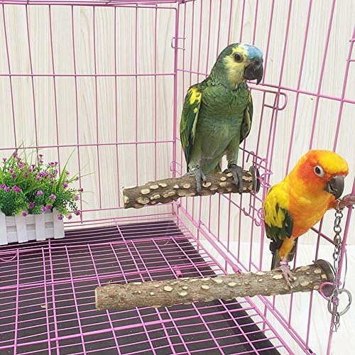 Pinvnby pássaro poleiro natural natureza papagaio espinhoso suporte de brinquedo plataforma de ramo de pata sticking para pequenos