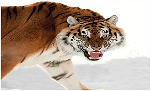 Suporte de escova de dentes de cerâmica de Ambesonne, Panthera Tigre Altaica, imagem próxima com fundo de neve caçador de caça, bancada versátil decorativa para banheiro, 4,5 x 2,7, marrom pálido