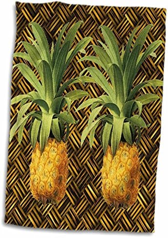 3d levantou um par de suculentos abacaxis tropicais ilustração botânica de mão, 15 x 22