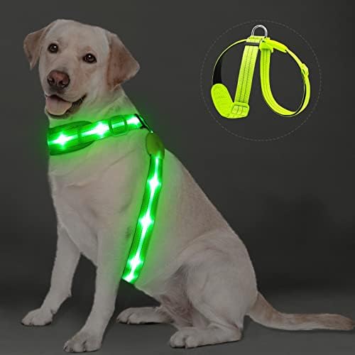 Pzrlit LED LIGHT UP DOG COTN RELESS RECARGELECIDO, MOLO