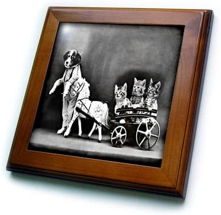 Imagem 3drose de photo antigo cão puxa vagão com três gatos - ladrilhos emoldurados