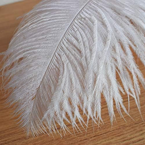 Pumcraft Jóias Diy 10pcs/Lote Elegante Avestruz Branca Feathers 10-75cm para Craft Diy Jewelry Wedding Event Party