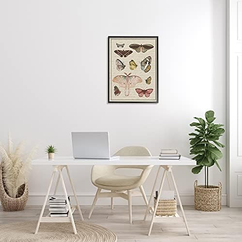 Stuell Industries Vintage Moth e Butterfly Wing Study Over Script, projetado por Daphne Polselli Black Framed Wall