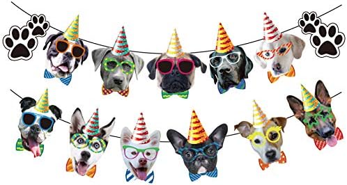 Garland para banner de aniversário de cachorro, bandeira engraçada para cães para suprimentos de festa de filhotes, decoração com tema de cão, design 1