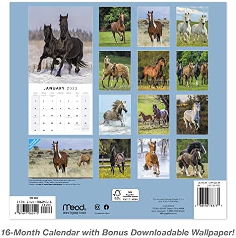 2023 Cavalos Monthly Wall Calendário, 16 meses, 12 x 12