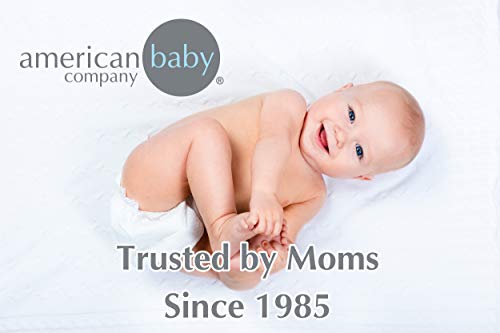 American Baby Company 2 pacote impresso Natural Cotton Jersey Knit E. Folha de portátil/mini-recriado, estrela cinza e branca,