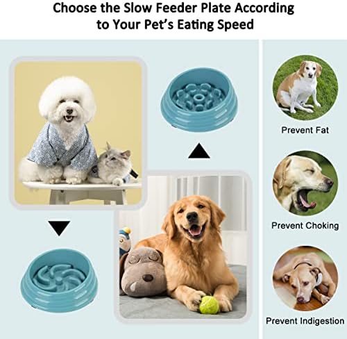 ETACCU alimentador lento 2 insere uma tigela de cachorro para cães grandes 3 xícaras, anti -gole de alimentos mais lentos de animais de alimentação, parada de inchaço, impedindo a engasga, tigela de água