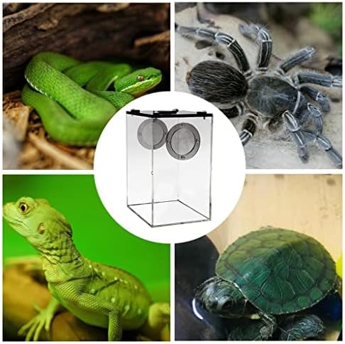 Caixa de alimentação de répteis Lepsjgc Caixa de plástico transparente Caixa de inseto Panorama Caixa de criação de insetos