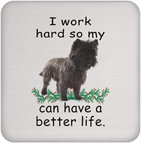 Dizer engraçado presente Cairn Terrier Brown Gray pode viver melhor para que meu cachorro possa ter uma vida melhor de Natal 2023 Presentes montanha -russa