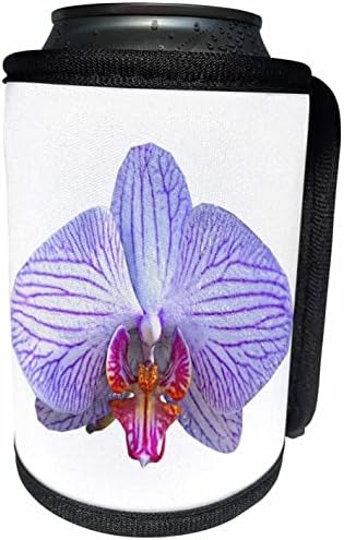 Flor gráfica de 3drose boehm - uma orquídea roxa e branca - enrolamento de garrafa mais fria
