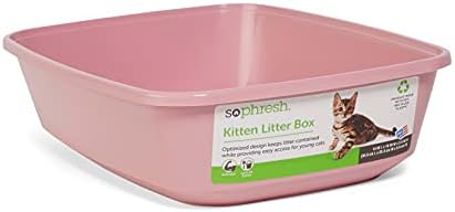 Então Phresh Pink Open Kitten Cat Box, 14 L x 10 W x 3,5 h