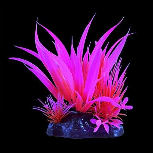 Tesouros subaquáticos Plant Glow Star - rosa