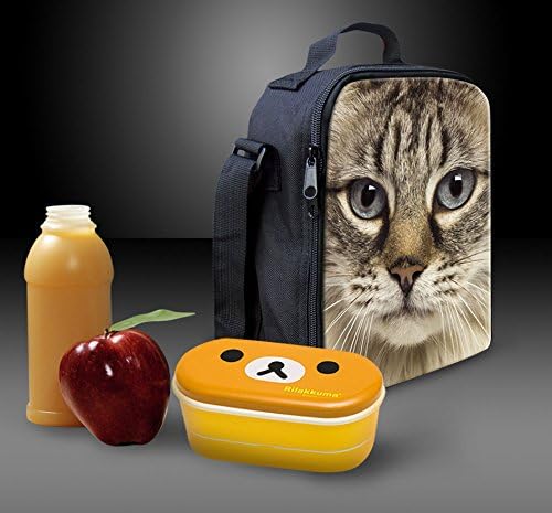 Doginthehole Bluefly Butterfly Princied School Bag One Set Backpack+Lunch Saco+Lápis, Livro de Moda para Garotas