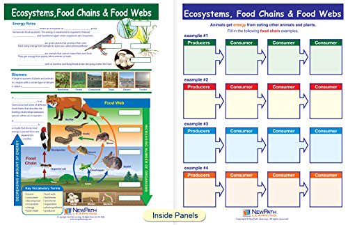 Cadeias alimentares e guias de aprendizado visual de redes alimentares, set/5-4 painéis, guias laminados de 11 x 17, visão