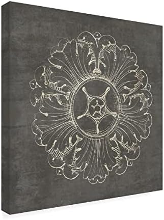 Marca registrada Bine Art 'Rosette VI Gray' Arte de tela por portfólio de maçã selvagem